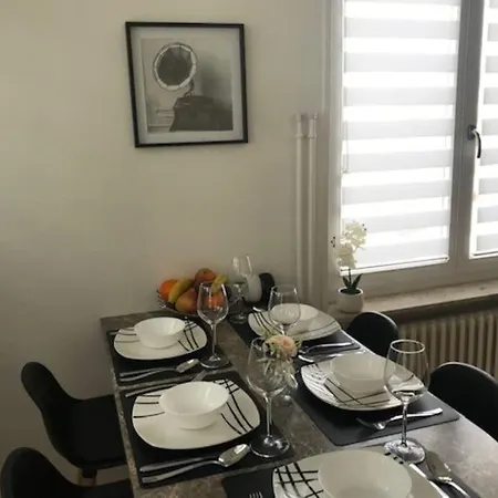 Des 3 Pays. 2 Mn De Bale+ Free Parking Apartament