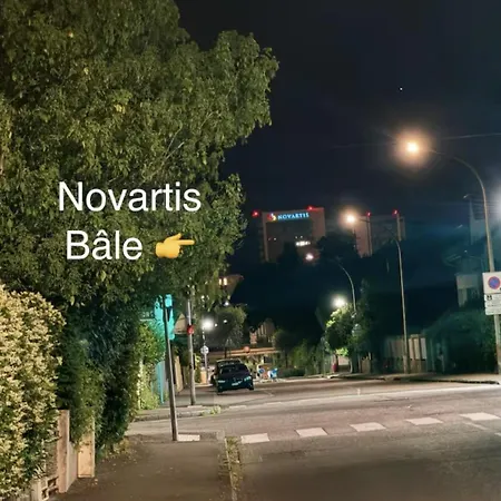 Des 3 Pays. 2 Mn De Bale+ Free Parking *