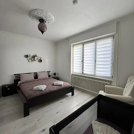 Apartment Des 3 Pays. 2 Mn De Bale+ Free Parking