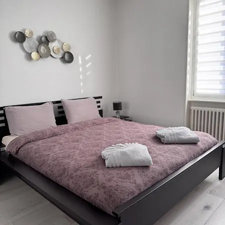 Apartment Des 3 Pays. 2 Mn De Bale+ Free Parking