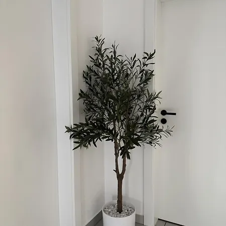 Appartement Des 3 Pays. 2 Mn De Bâle+ Free Parking *