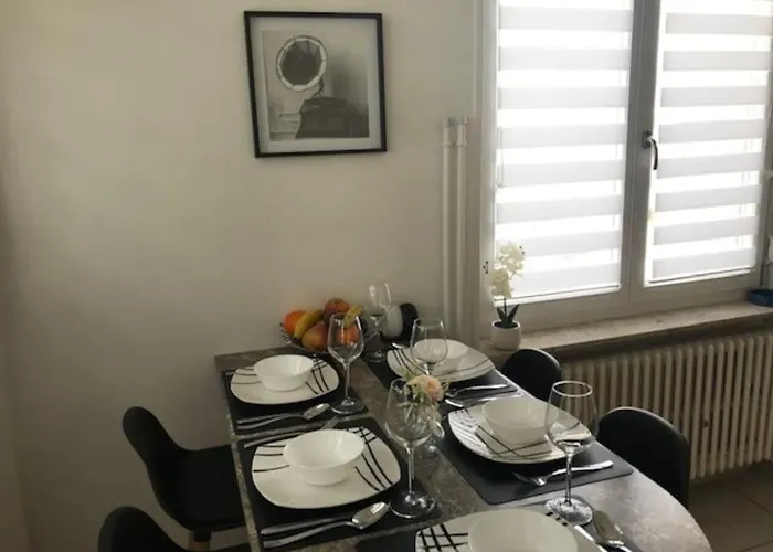 Des 3 Pays. 2 Mn De Bâle+ Free Parking Appartement