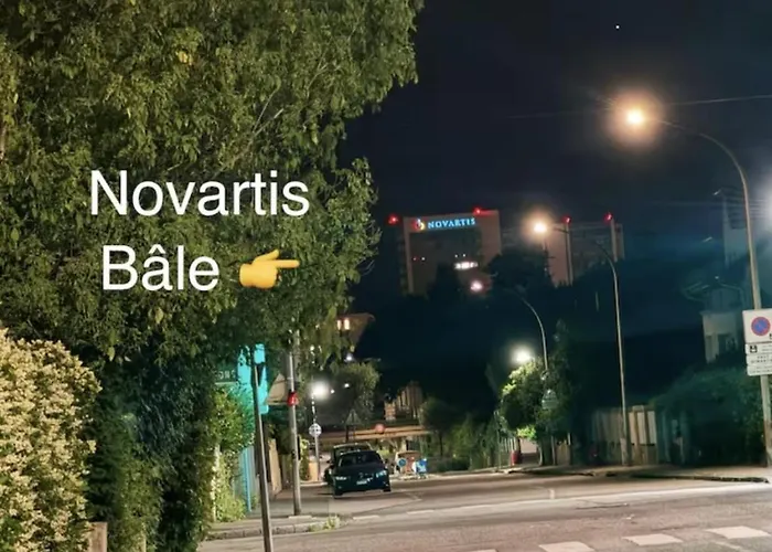 Des 3 Pays. 2 Mn De Bâle+ Free Parking *