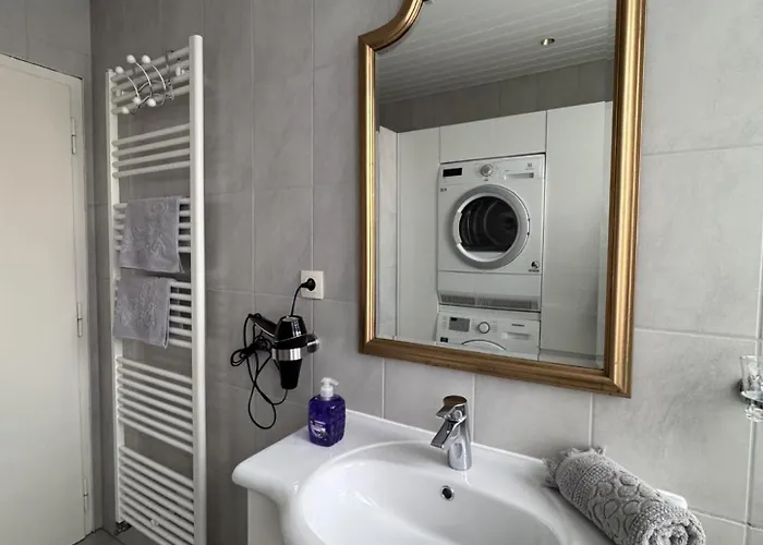 Des 3 Pays. 2 Mn De Bâle+ Free Parking