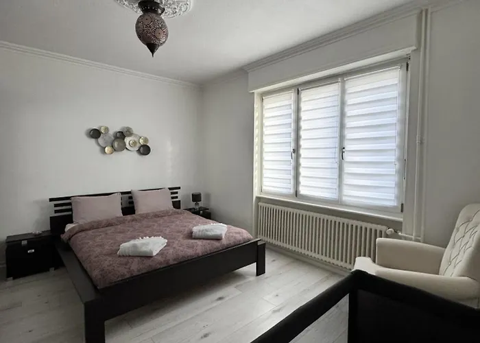 Appartement Des 3 Pays. 2 Mn De Bâle+ Free Parking